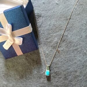 Sleeping Beauty Turquoise Chrome Diopside Platinum Plated Necklace